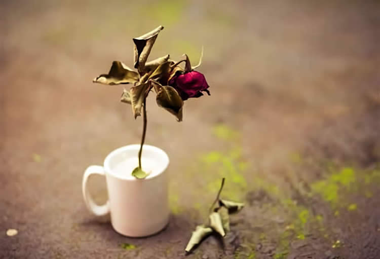 香港死亡證用于國內繼承遺產(chǎn)怎么辦理公證手續(xù)呢？