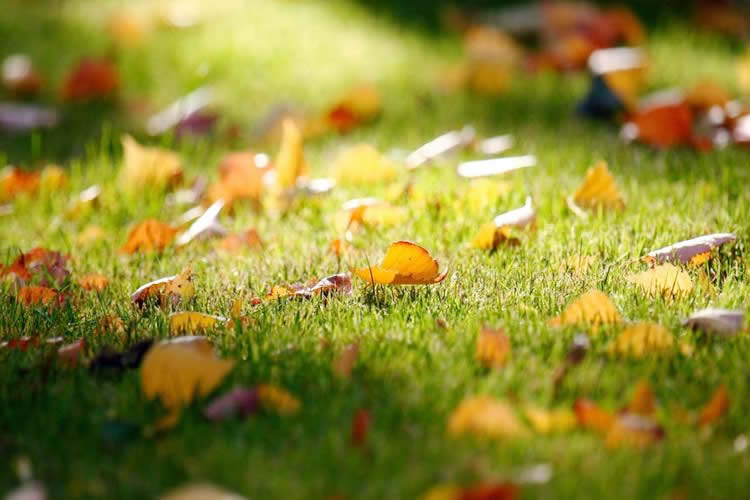 內(nèi)地人在香港結(jié)婚，現(xiàn)配偶去世了要怎么辦理香港結(jié)婚證轉(zhuǎn)遞公證呢？