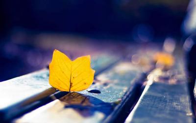 多位香港人士要如何辦理放棄繼承死者享有在內(nèi)地的遺產(chǎn)呢？