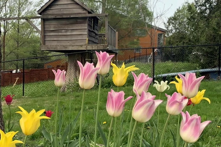 要繼承香港人在內(nèi)地的遺產(chǎn)怎么辦理親屬關(guān)系及遺囑狀況聲明書轉(zhuǎn)遞公證呢？ 
