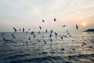 要繼承香港父母在內(nèi)地遺產(chǎn)所需要的公證親屬關(guān)系及遺囑狀況聲明書怎么辦理？