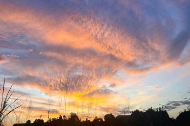 發(fā)生糾紛要在內(nèi)地法院打官司怎么公證香港死亡證是真實的呢？