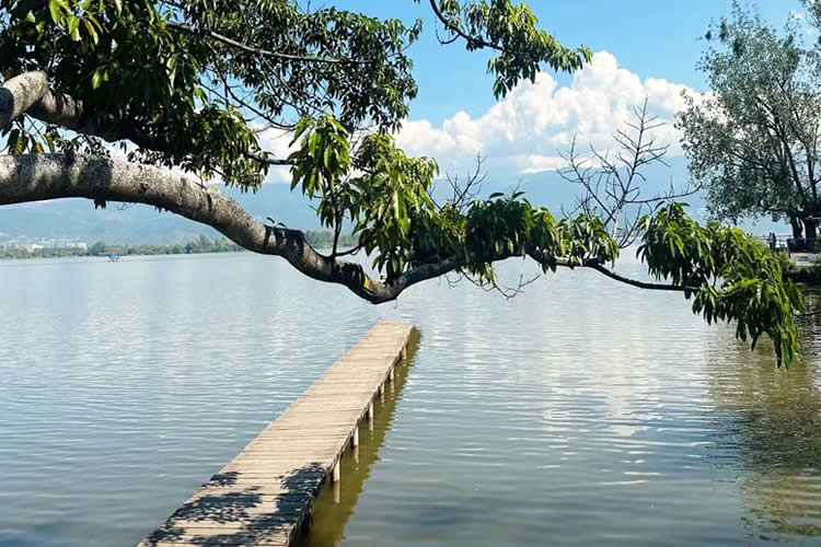 要怎么辦理香港已故人士在香港沒有婚姻及任何子女的聲明公證書用于在內(nèi)地法院訴訟呢？