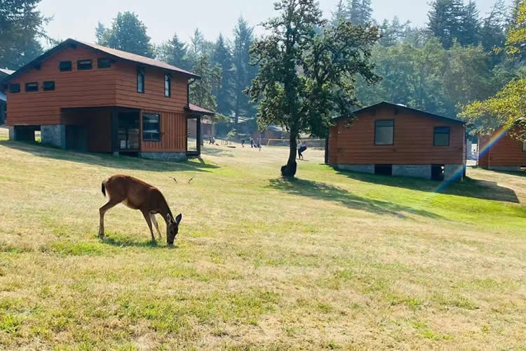 香港結(jié)婚證公證用于在內(nèi)地辦理配偶死亡公證書