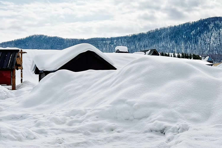 香港子女要放棄繼承內(nèi)地父母在內(nèi)地的遺產(chǎn)怎么辦理轉(zhuǎn)遞聲明公證書呢？