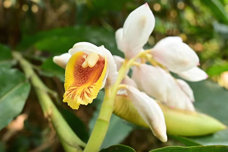 香港人要把內(nèi)地的房產(chǎn)加上配偶名字怎么做香港結(jié)婚證公證呢？