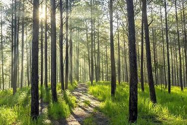 內(nèi)地人的香港離婚絕對(duì)判令要如何做公證用于跟銀行申請(qǐng)貸款呢？