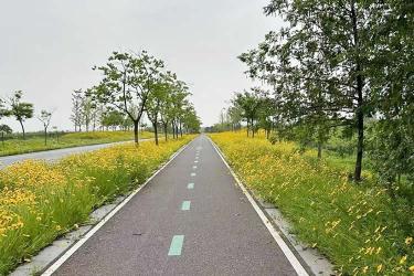 已故親人的香港行街紙?jiān)趺醋龉C用于在內(nèi)地辦理繼承遺產(chǎn)手續(xù)之用