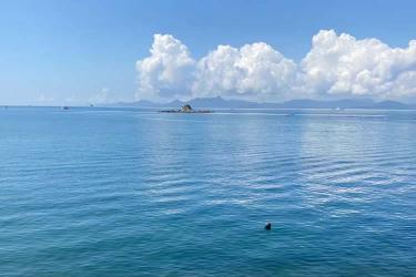 香港公司要在山東省青島市設立外商投資企業(yè)怎么辦理簡化版香港公證文書呢？