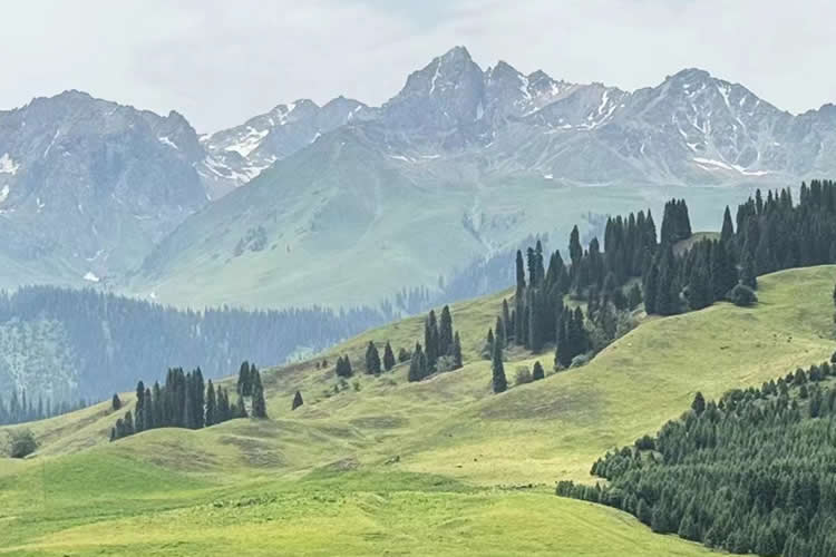 在美國的臺灣同胞如何辦理中國內地無犯罪記錄公證書用于申請美國簽證？