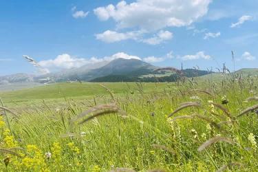 中國公民在美國離婚現(xiàn)要更改婚姻狀況怎么辦理美國離婚判決書海牙認(rèn)證？