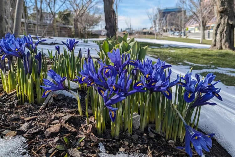 中國(guó)公民是在荷蘭結(jié)婚的現(xiàn)要離婚怎么辦理公證及海牙認(rèn)證手續(xù)呢？