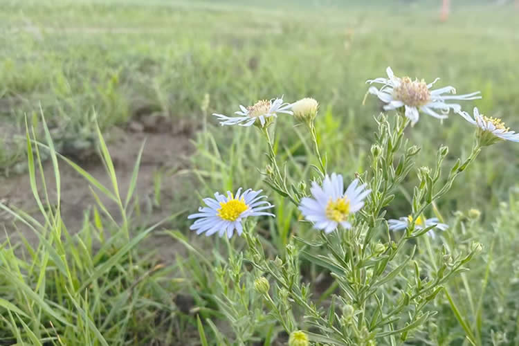 只有很久之前的出生公證書的香港人怎么辦理出生公證認證用于在香港繼承父母遺產呢？ 