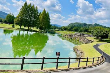 比利時(shí)出生紙?jiān)趺崔k理香港海牙認(rèn)證用于在澳門讀書呢？