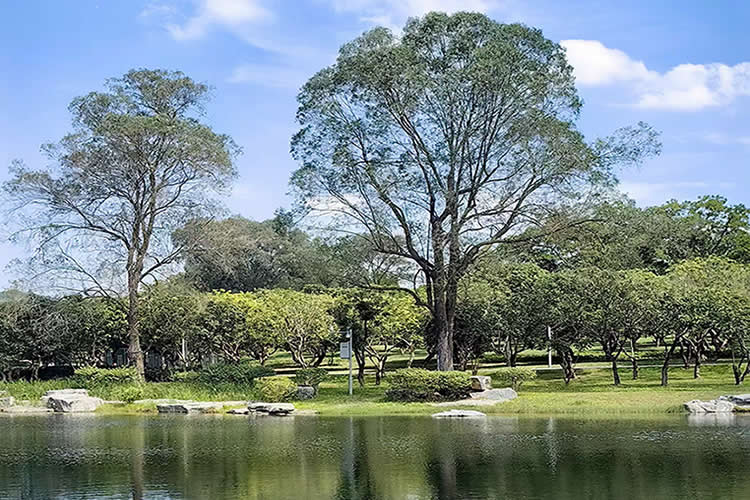香港籍丈夫在內(nèi)地死亡，配偶要繼承遺產(chǎn)怎么辦理親屬關(guān)系及遺囑狀況聲明書公證呢？