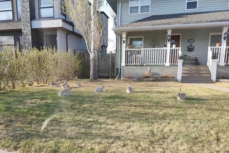 香港公司要在巴西投資設(shè)立公司怎么辦理授權(quán)委托書海牙認(rèn)證呢？