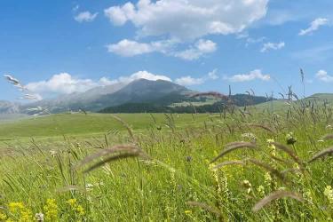 美國公民的香港死亡證明怎么辦理國際海牙認證手續(xù)呢？