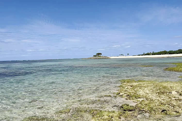 父母怎么辦理小孩的香港出生紙公證雙認(rèn)證用于申請(qǐng)?zhí)﹪?guó)陪讀簽證呢？