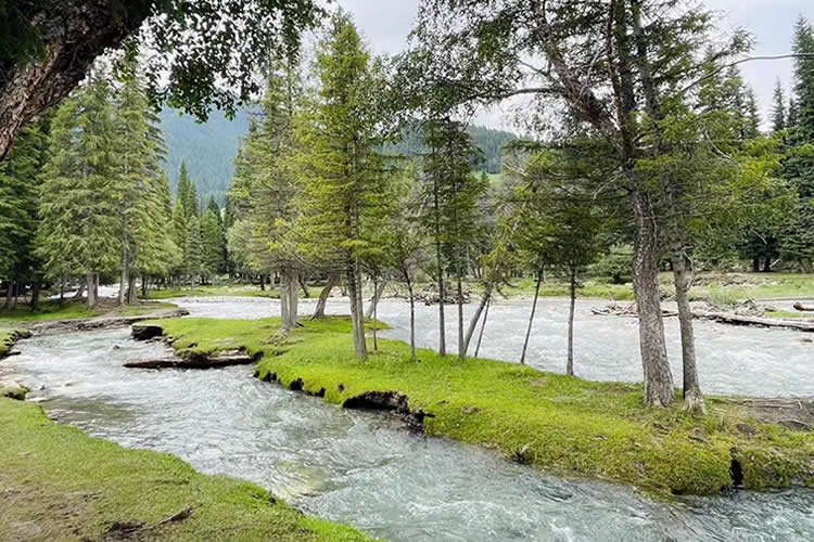 中國公民要在越南設(shè)立公司怎么在香港辦理中國護(hù)照越南公證雙認(rèn)證手續(xù)呢？