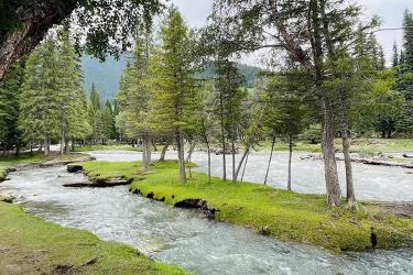 中國(guó)公民要在越南設(shè)立公司怎么在香港辦理中國(guó)護(hù)照越南公證雙認(rèn)證手續(xù)呢？