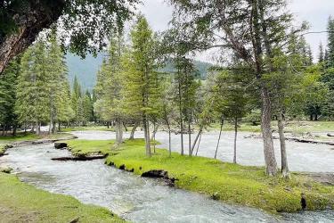 內(nèi)地居民取得香港永居身份后，如何合法有效處理內(nèi)地的資產(chǎn)呢？