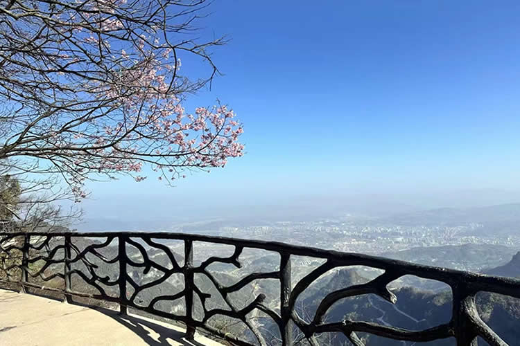 已有香港高院的遺囑認證書，怎么辦理香港親屬關系及遺囑狀況聲明書公證呢？