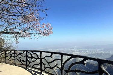 已有香港高院的遺囑認(rèn)證書，怎么辦理香港親屬關(guān)系及遺囑狀況聲明書公證呢？