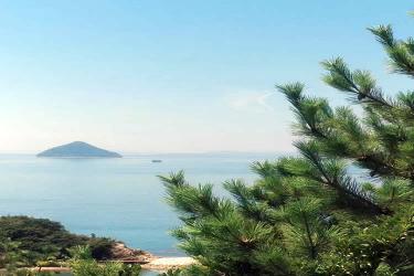 堂侄子要繼承香港姑媽去世后的內(nèi)地遺產(chǎn)怎么做親屬關(guān)系及遺囑狀況聲明書公證呢？