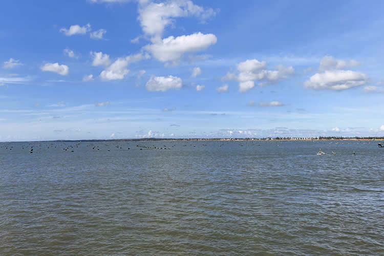 香港居民怎么無需回國遠(yuǎn)程辦理移民美國所需的中國出生雙號公證書呢？