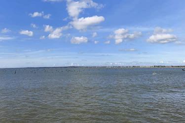 香港居民怎么無(wú)需回國(guó)遠(yuǎn)程辦理移民美國(guó)所需的中國(guó)出生雙號(hào)公證書呢？