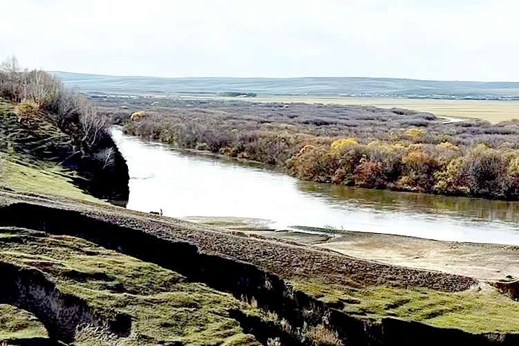 內(nèi)地出生的香港人怎么做出生公證用于申請圣基茨和尼維斯護照呢？