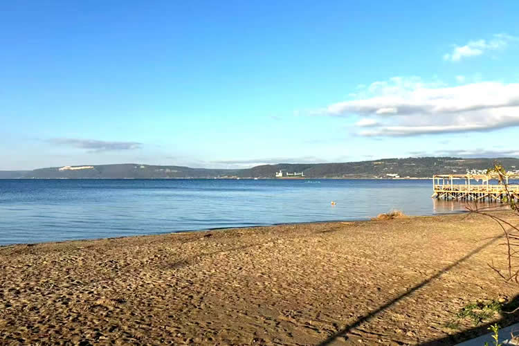 配偶和子女都是內(nèi)地身份的香港居民要怎么辦理婚姻及家庭狀況聲明書公證？